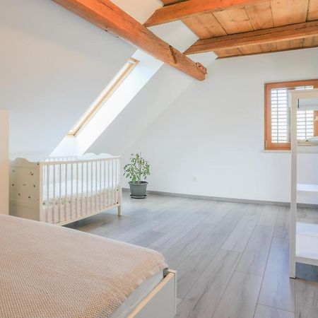 Apartment Krnicar ゴレンスカ地方 エクステリア 写真